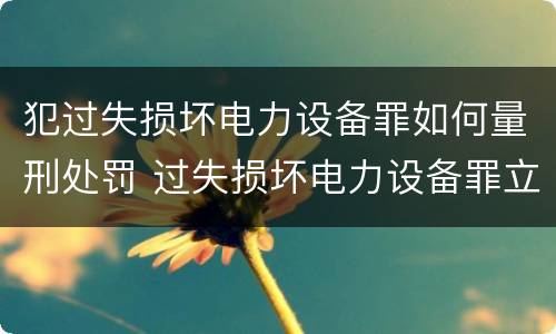 犯过失损坏电力设备罪如何量刑处罚 过失损坏电力设备罪立案标准