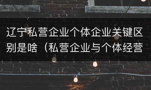 辽宁私营企业个体企业关键区别是啥（私营企业与个体经营企业的区别）