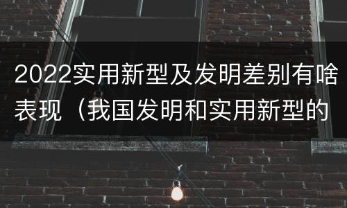 2022实用新型及发明差别有啥表现（我国发明和实用新型的标准）