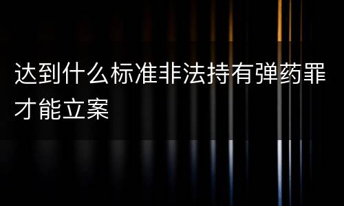 达到什么标准非法持有弹药罪才能立案