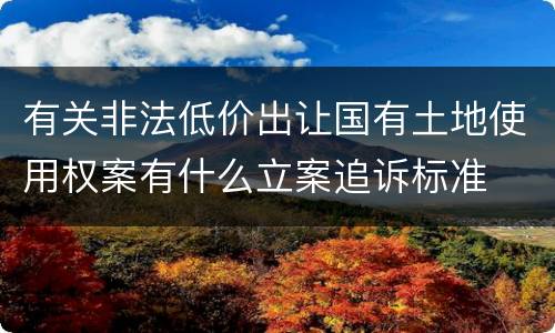 有关非法低价出让国有土地使用权案有什么立案追诉标准