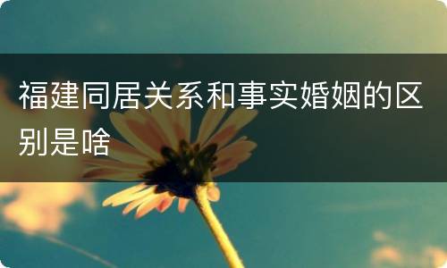 福建同居关系和事实婚姻的区别是啥