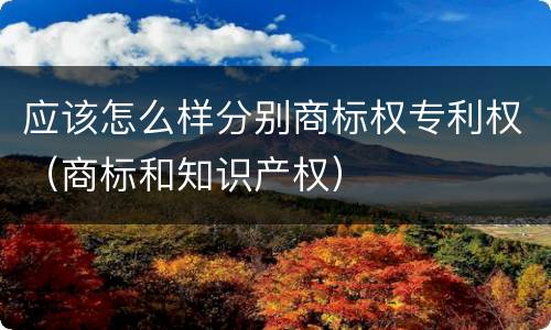 应该怎么样分别商标权专利权（商标和知识产权）