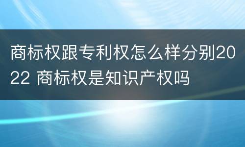 商标权跟专利权怎么样分别2022 商标权是知识产权吗
