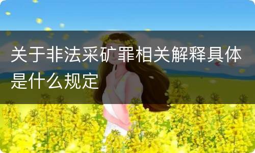 关于非法采矿罪相关解释具体是什么规定