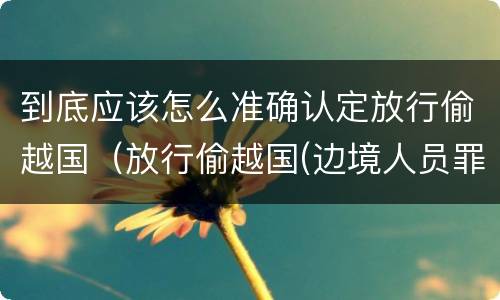 到底应该怎么准确认定放行偷越国（放行偷越国(边境人员罪）