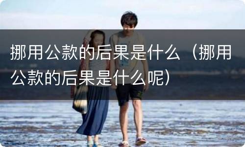 挪用公款的后果是什么（挪用公款的后果是什么呢）
