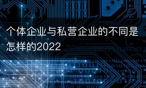 个体企业与私营企业的不同是怎样的2022