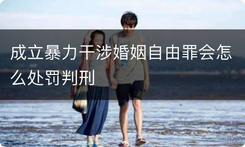 成立暴力干涉婚姻自由罪会怎么处罚判刑