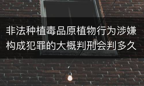 非法种植毒品原植物行为涉嫌构成犯罪的大概判刑会判多久