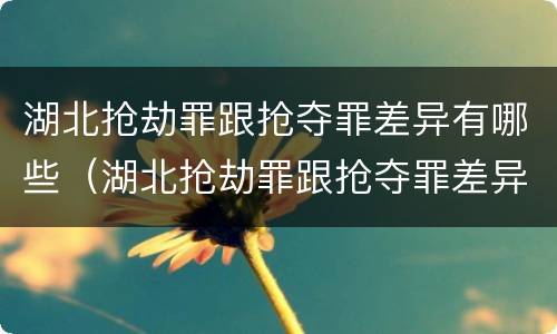 湖北抢劫罪跟抢夺罪差异有哪些（湖北抢劫罪跟抢夺罪差异有哪些区别）