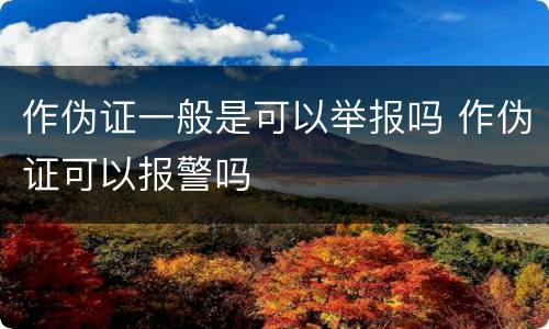 作伪证一般是可以举报吗 作伪证可以报警吗