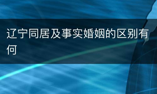 辽宁同居及事实婚姻的区别有何