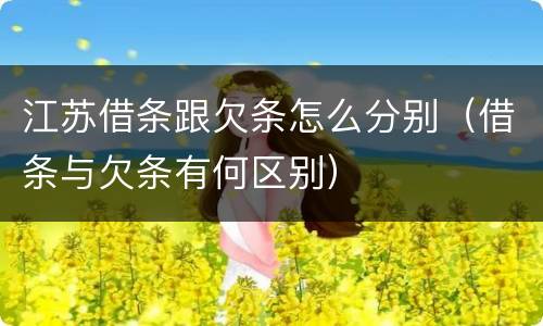 江苏借条跟欠条怎么分别（借条与欠条有何区别）