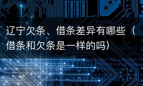 辽宁欠条、借条差异有哪些（借条和欠条是一样的吗）