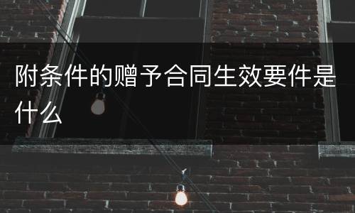 附条件的赠予合同生效要件是什么