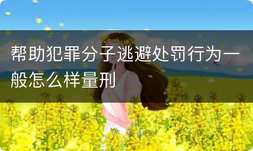 帮助犯罪分子逃避处罚行为一般怎么样量刑