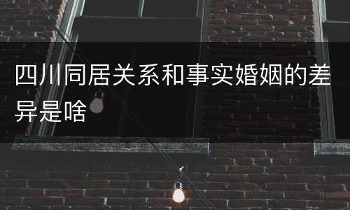 四川同居关系和事实婚姻的差异是啥