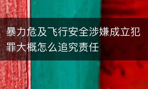 暴力危及飞行安全涉嫌成立犯罪大概怎么追究责任