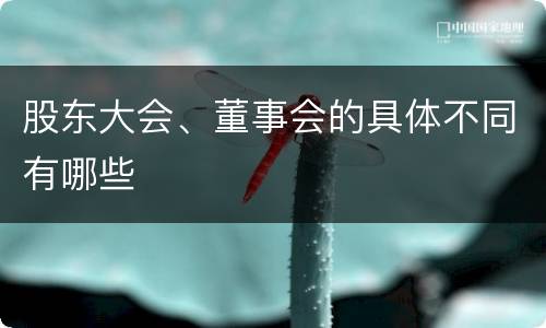 股东大会、董事会的具体不同有哪些
