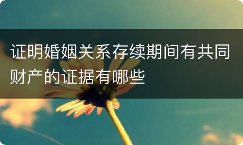 证明婚姻关系存续期间有共同财产的证据有哪些