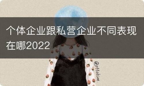 个体企业跟私营企业不同表现在哪2022