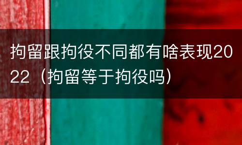 拘留跟拘役不同都有啥表现2022（拘留等于拘役吗）
