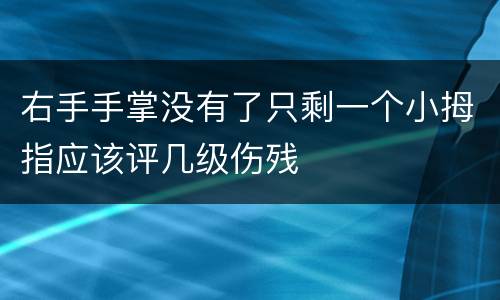 右手手掌没有了只剩一个小拇指应该评几级伤残