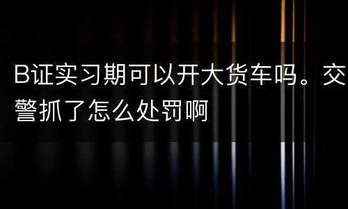 B证实习期可以开大货车吗。交警抓了怎么处罚啊