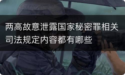 两高故意泄露国家秘密罪相关司法规定内容都有哪些