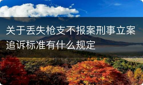 关于丢失枪支不报案刑事立案追诉标准有什么规定