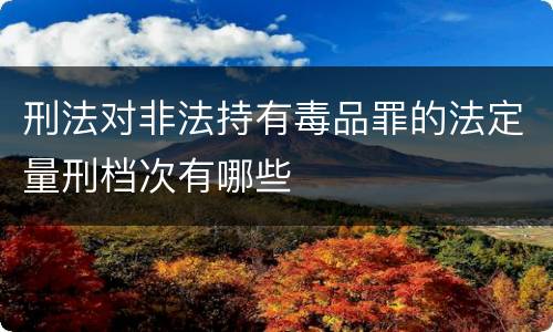 刑法对非法持有毒品罪的法定量刑档次有哪些