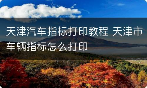 天津汽车指标打印教程 天津市车辆指标怎么打印