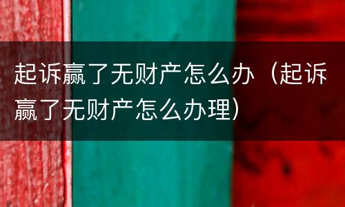 起诉赢了无财产怎么办（起诉赢了无财产怎么办理）