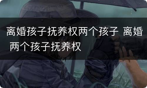 离婚孩子抚养权两个孩子 离婚 两个孩子抚养权