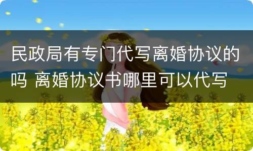 民政局有专门代写离婚协议的吗 离婚协议书哪里可以代写