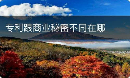 专利跟商业秘密不同在哪