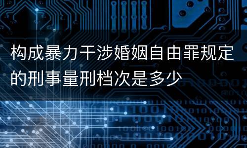 构成暴力干涉婚姻自由罪规定的刑事量刑档次是多少