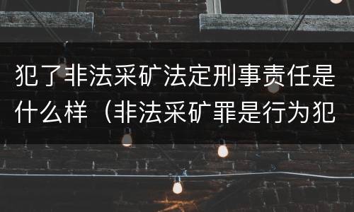 犯了非法采矿法定刑事责任是什么样（非法采矿罪是行为犯还是结果犯）