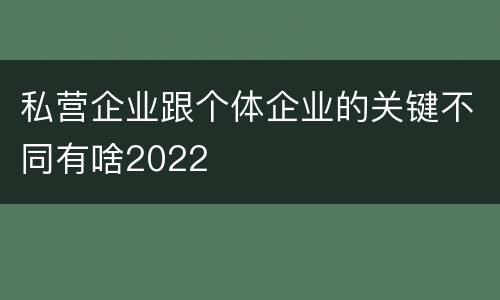 私营企业跟个体企业的关键不同有啥2022