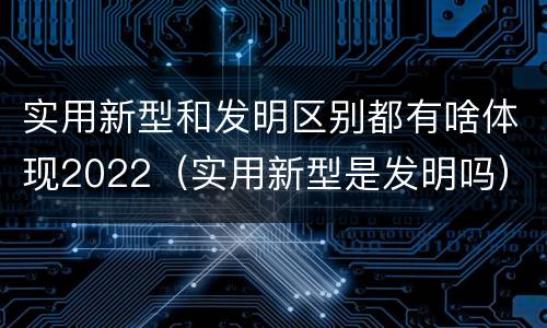 实用新型和发明区别都有啥体现2022（实用新型是发明吗）