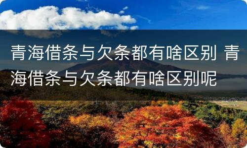 青海借条与欠条都有啥区别 青海借条与欠条都有啥区别呢