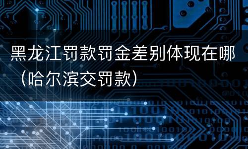 黑龙江罚款罚金差别体现在哪（哈尔滨交罚款）