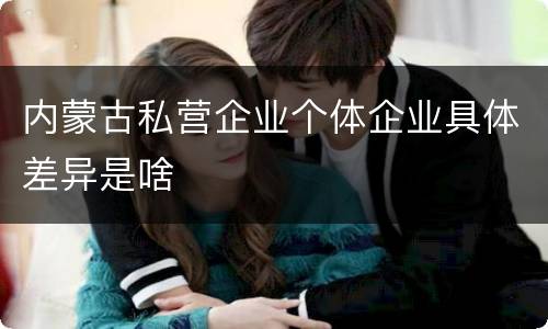 内蒙古私营企业个体企业具体差异是啥