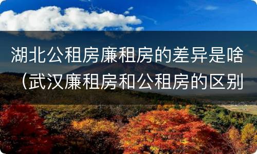 湖北公租房廉租房的差异是啥（武汉廉租房和公租房的区别）