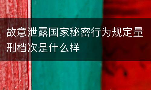 故意泄露国家秘密行为规定量刑档次是什么样