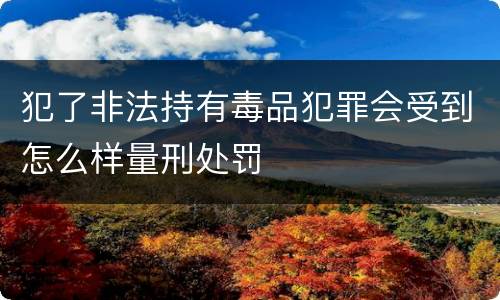 犯了非法持有毒品犯罪会受到怎么样量刑处罚
