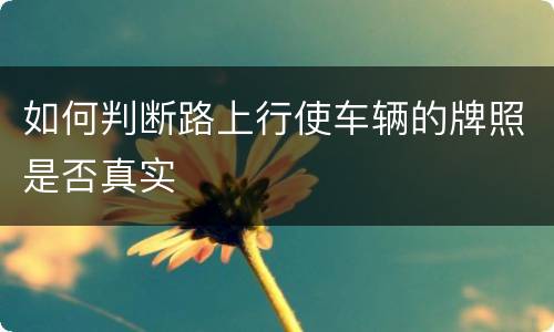 如何判断路上行使车辆的牌照是否真实