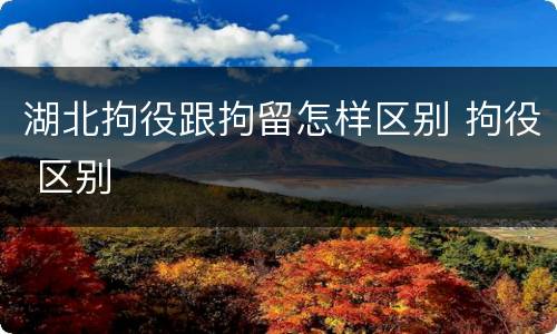 湖北拘役跟拘留怎样区别 拘役 区别