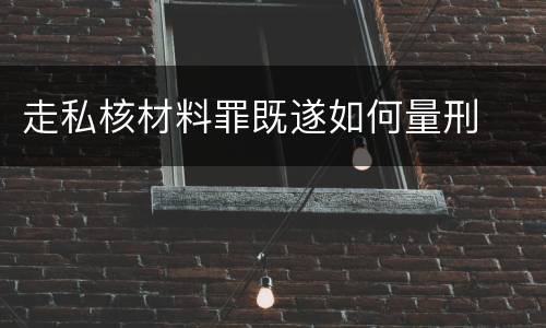 走私核材料罪既遂如何量刑